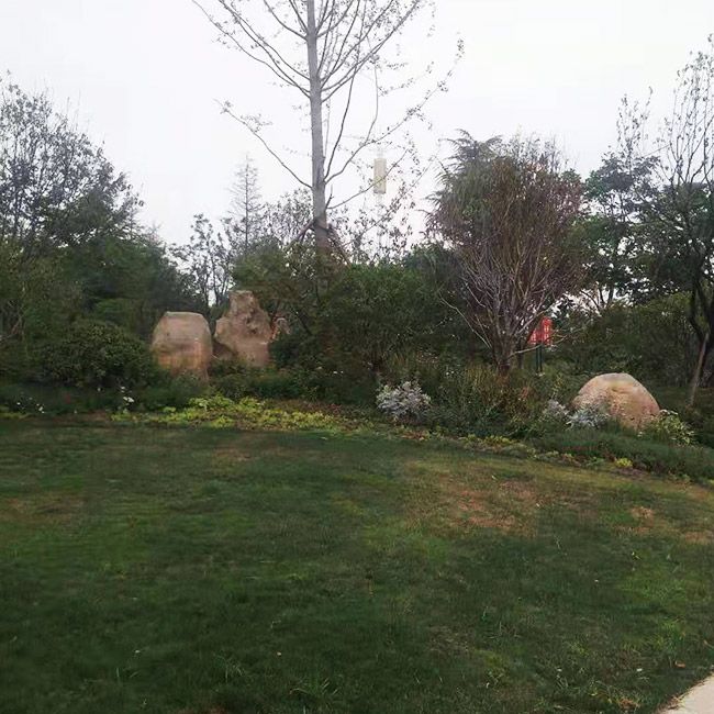 小區(qū)綠化施工設(shè)計及養(yǎng)護(hù)