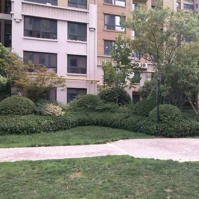 小區(qū)綠化施工設(shè)計及養(yǎng)護(hù)